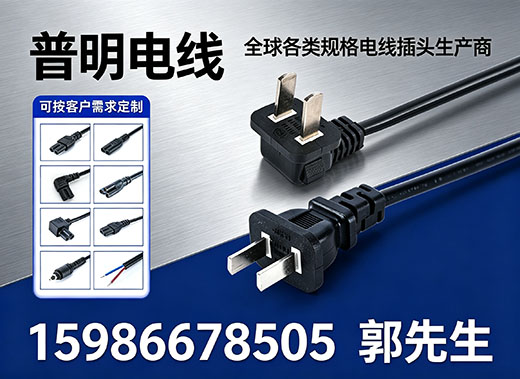 普明电线东莞线上分站